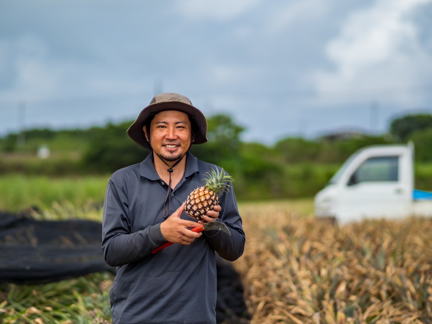 石垣島で育ったパイナップルを収穫し、果実の状態を確かめるセイモリファーム園主・生盛克哉さん
