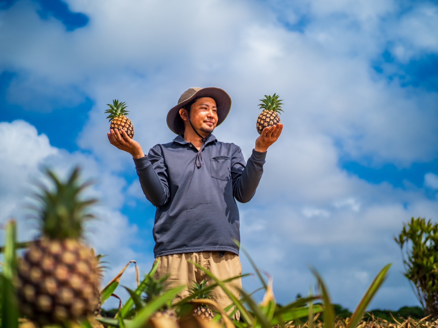 石垣島で三代にわたりパイナップルを育てるセイモリファーム園主・生盛克哉さんが、畑で果実を手にする様子