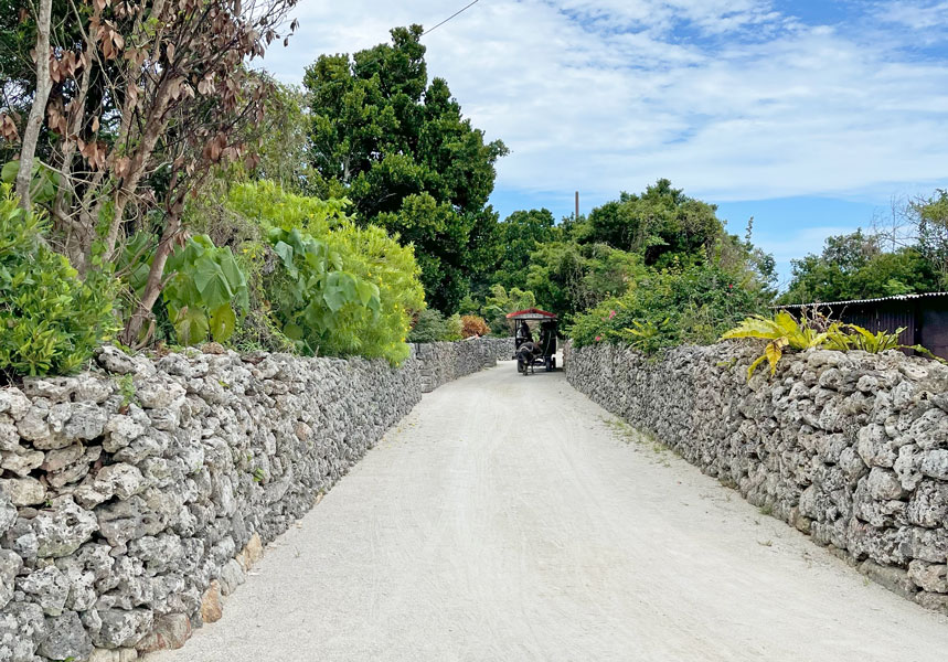 竹富島風景1986 竹富島風景1986 竹富島風景1986 竹富島風景1986 竹富島風景1986